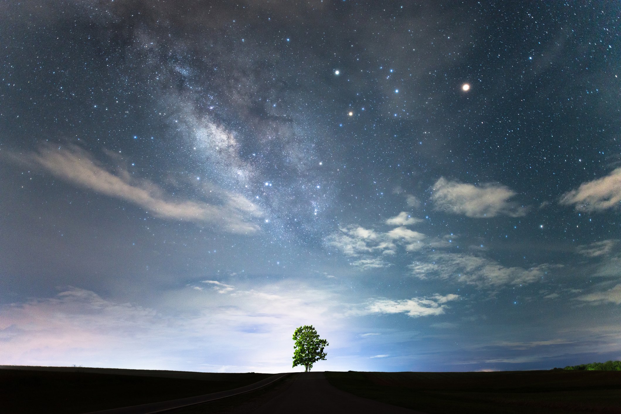one tree with starry sky